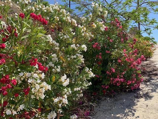 Beau Views Seven Apartament