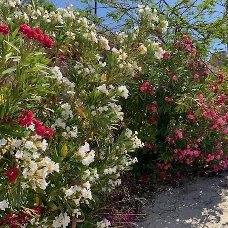 Beau Views Seven Апартаменты